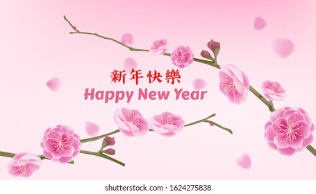 Mei flowers, Chinese national flower bright pink, concept with the Chinese New Year, Vector illustration and design.