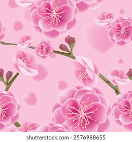 Mei flowers, Chinese national flower bright pink, vector illustration and design.