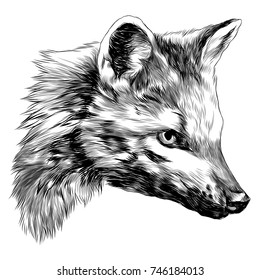 meikong sketch head Bush Fox vector graphics monochrome black and white drawing
