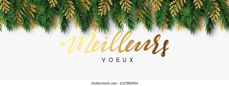 Meilleurs Voeux in french text. Green realistic pine and fir branches. Decoration Christmas tree branches