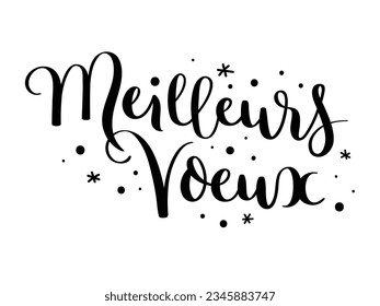 MEILLEURS VOEUX (HAPPY NEW YEAR in French) black vector brush lettering on white background