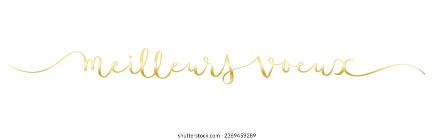 MEILLEURS VOEUX (HAPPY NEW YEAR in French) metallic gold vector brush calligraphy banner with swashes