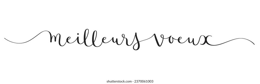 MEILLEURS VOEUX (HAPPY NEW YEAR in French) black vector brush calligraphy banner with swashes