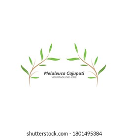 melaleuca cajuputi hoja icono ilustración vector plantilla de diseño