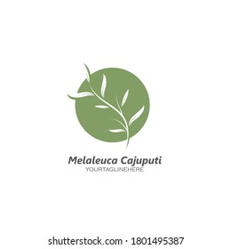 melaleuca cajuputi leaf icon vector illustration design template