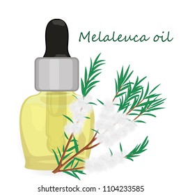Melaleuca essential oil vector illustration Aromatherapy