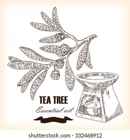 Melaleuca. Hand drawn Tea Tree essential oil. Vector illustration