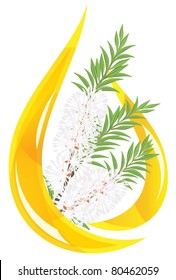 Melaleuca - Tea Tree.  Stylized Drop Of Essential Oil. Vector Illustration.