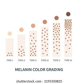 Melanin color palette scheme from light to dark brown. Skin tanning process diagram. Skin complexion diversity. Fitzpatrick skin type classification scale. Beauty concept design. Vector illustration