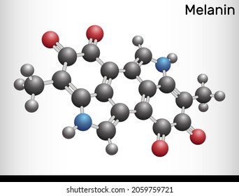 Melanin  molecule. Polymers of tyrosine derivatives found in and causing darkness in skin (skin pigmentation) and hair. Ball and stick model. Vector illustration