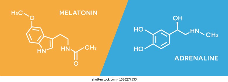 Melatonin and adrenaline hormone symbols. Human body hormones molecular chemical formula.