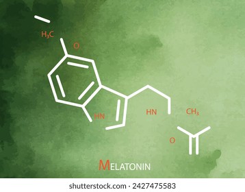 Melatonin formula. Vector thin line icon of   melatonin molecular structure 