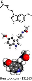 Melatonin hormone, molecular model. Melatonin plays a role in regulating the daily biological cycle (circadian rythm). Three representations
