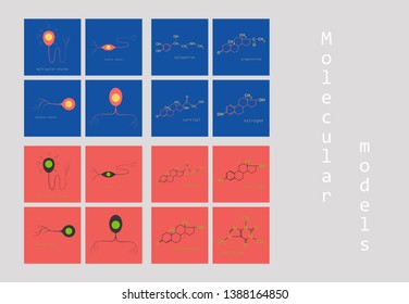 Melatonin hormone molecule. In humans, it plays a role in circadian rhythm synchronization. Skeletal formula.