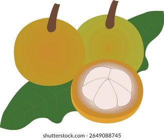 Meliaceae can be used to prepare many types of sweet and savory dishes, both savory and sweet.