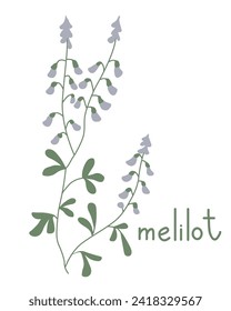 Melilot flower vector simple illustration