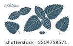 Melissa. Dark gray fragrant herb leaves lemon melissa isolated on white background. Set of silhouettes. Vector illustration for packaging design, printing, stickers and other projects.