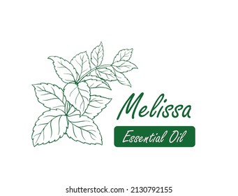 melissa essential oil line art, logo, icon vector illustration 