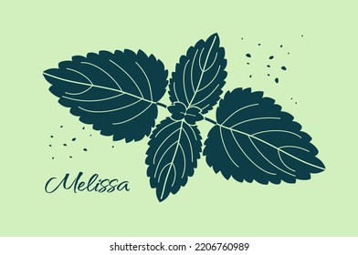 Melissa leaves. Aromatic herb leaves vector silhouette isolated on mint background. Illustration for the design of tea packaging, cosmetic products, medical preparations and other projects.