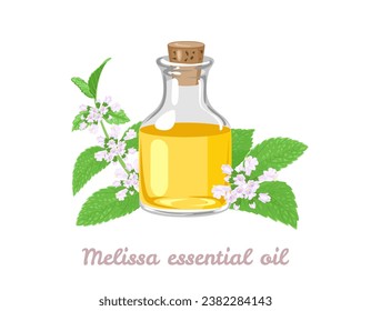 Melissa (lemon balm) essential oil in glass bottle, branch with green leaf and flowers isolated on white background. Vector cartoon flat illustration.