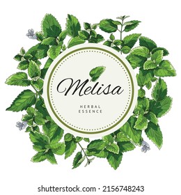 Melissa or lemon balm frame background, hand drawn sketch vector illustration isolated on white. Badge or tea label design with melissa or green mint leaves.