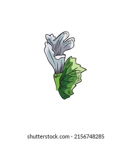 Melissa plant in hand drawn sketch style, vector illustration isolated on white background. Green leaves with engraving texture. Peppermint or lemon balm flower.