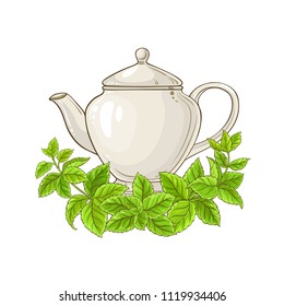 melissa tea illustration