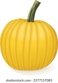 Calabaza Amarilla Mellow. Calabaza de invierno. Cucurbita pepo. Frutas y verduras. Ilustración vectorial aislada.