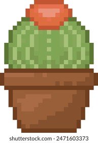 melocactus cactus vector pixel art 