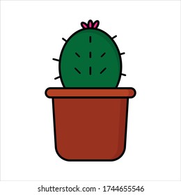 Melocactus plants mini flat ilustration 