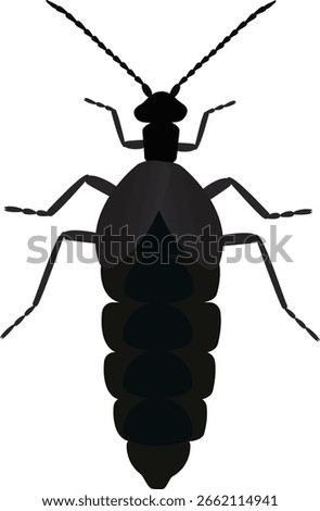 Meloe is a genus of blister beetles commonly referred to as oil beetles. The name derives from their defensive strategy when threatened they release oily droplets of hemolymph from their joints.
