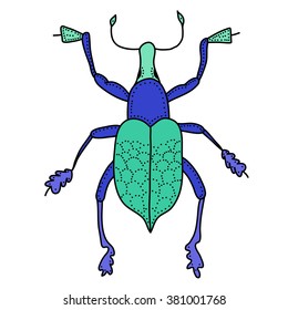 Meloe violaceus.beetle top view. 
blue bug