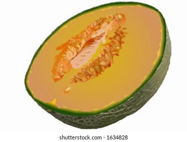 Melon