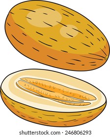 Melon