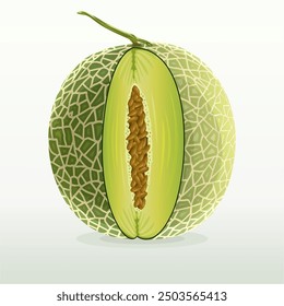 A melon is any of various plants of the Cucurbitaceae family with sweet, edible, and fleshy fruit. The word "melon" can refer to either the plant or specifically to the fruit.