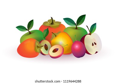 melon apple fruit on white background, healthy lifestyle or diet concept, logo for fresh fruits vector illustration