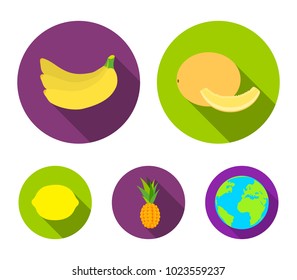 Melon, banana, pineapple, lemon.Fruits set collection icons in flat style vector symbol stock illustration web.