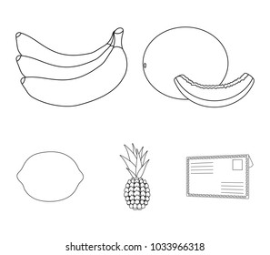 Melon, banana, pineapple, lemon.Fruits set collection icons in outline style vector symbol stock illustration web.