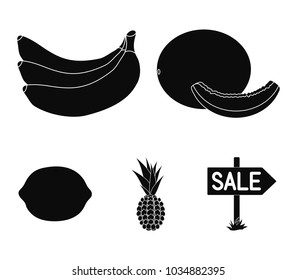 Melon, banana, pineapple, lemon.Fruits set collection icons in black style vector symbol stock illustration web.