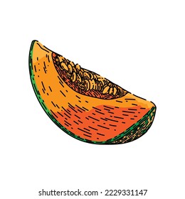 melon cantaloupe slice hand drawn vector. food fruit, green orange, sweet fresh vegetable, ripe japanese, honey melon cantaloupe slice sketch. isolated color illustration