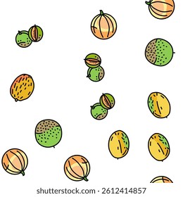 melon cantaloupe yellow fruit Vector Seamless Pattern Thin Line Illustration