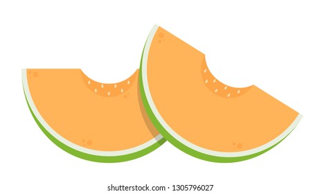 melon cartoon vector. symbol. logo design.