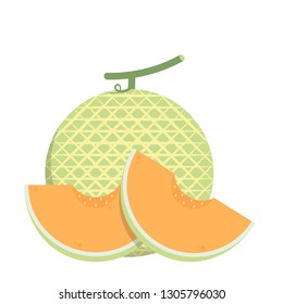 melon cartoon vector. symbol. logo design.