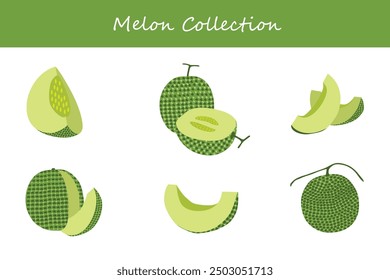 colección de melón. melón en diferentes poses. Ilustración vectorial.