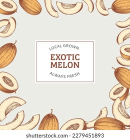 Plantilla de diseño de melón. Esbozo dibujado a mano estilo exótico de la ilustración de la fruta. Banner de fruta grabado en diseño retro. Ilustraciones vectoriales.