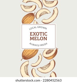 Plantilla de diseño de melón. Esbozo dibujado a mano estilo exótico de la ilustración de la fruta. Banner de fruta grabado en diseño retro. Ilustraciones vectoriales.