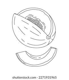 Melon doodle Vector illustration coloring book for Kids