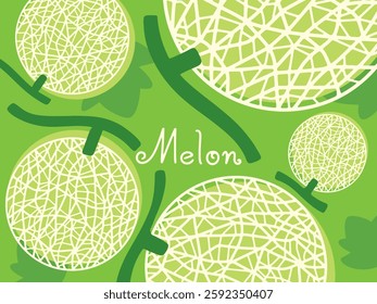 Melon drawing, Fruit hand drawn, vector illustration.