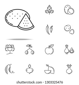 melon dusk style icon. Vegetables icons universal set for web and mobile