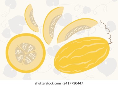 Melon flat design vector illustration. Icon set of melon in simple cartoon style.
